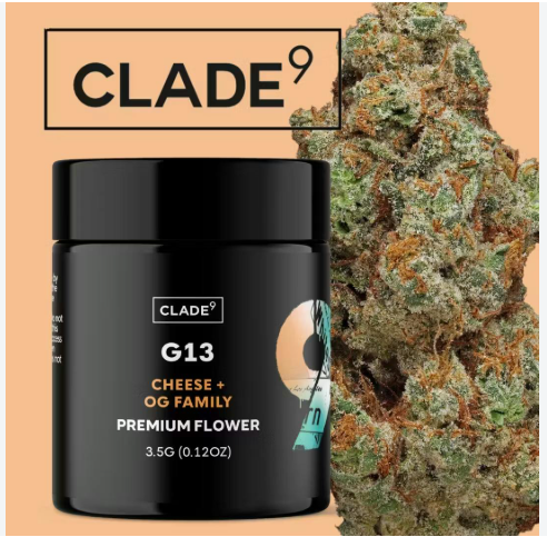 Clade9 - G13 - Bud