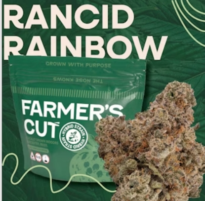 Rancid Rainbow