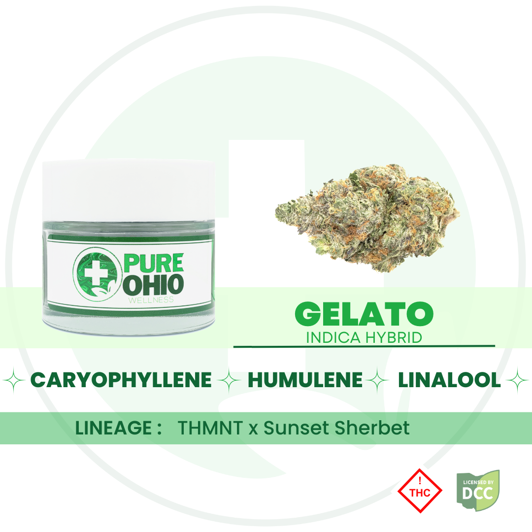 Gelato (Indica-Hybrid) - 2.83g - POW