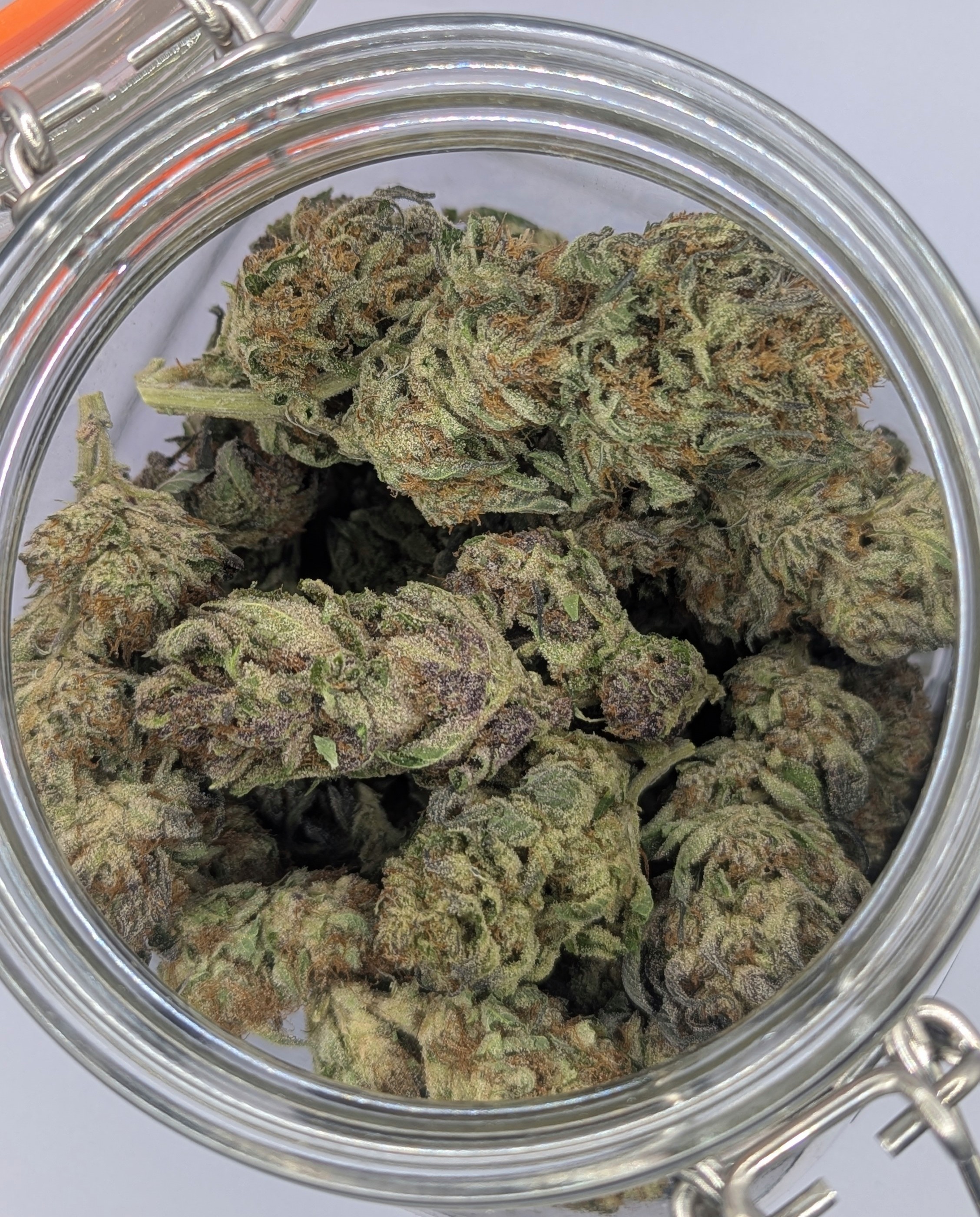 Sundog - Sun Grown Deli Flower