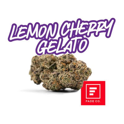 Candy Lemon Cherry Gelato - - Fade Co.
