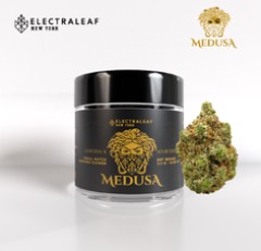 Medusa 3.5 - Sativa