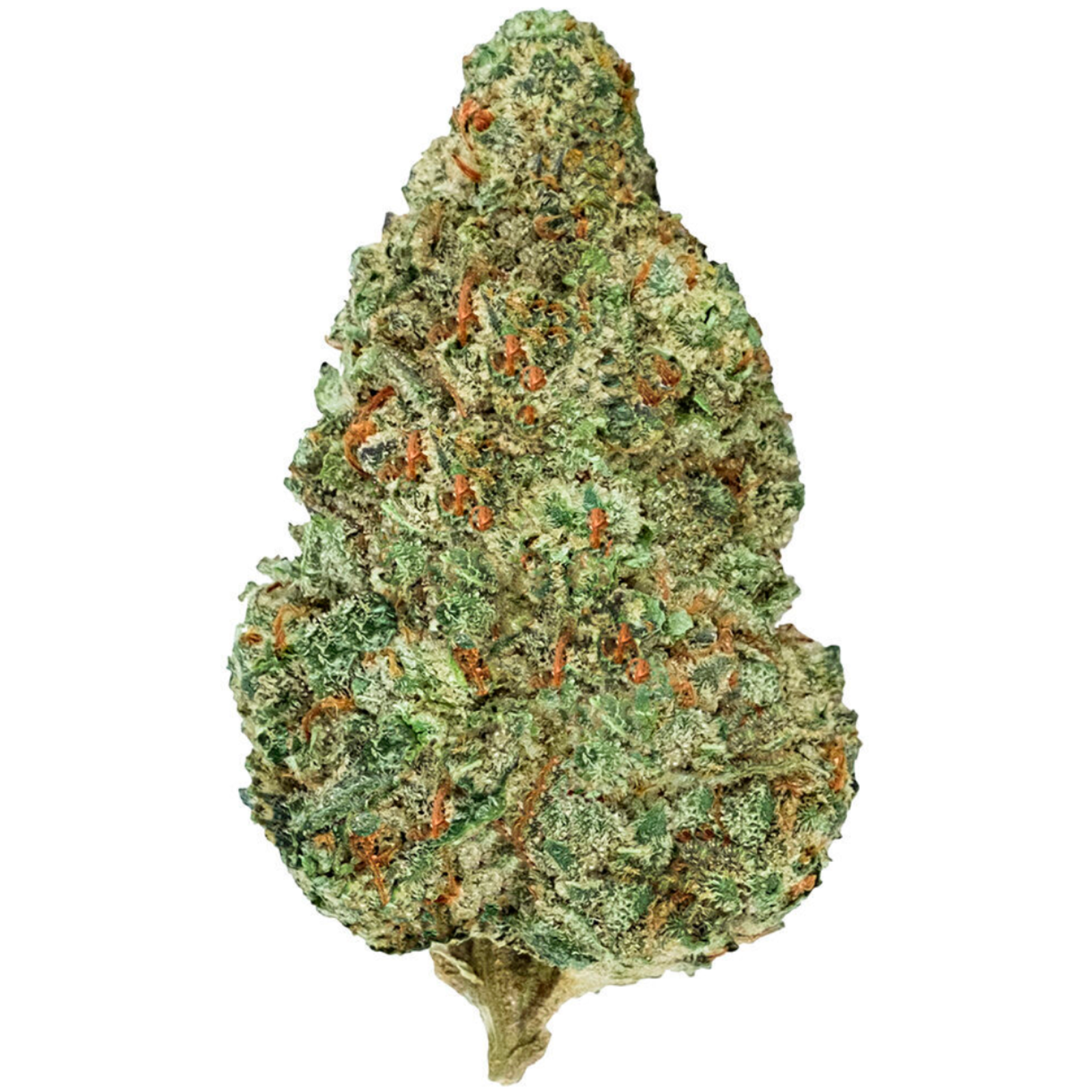 Chemzilla (Godzilla Glue x Chemdawg) | 14g