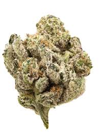 Sneaker Head Jar