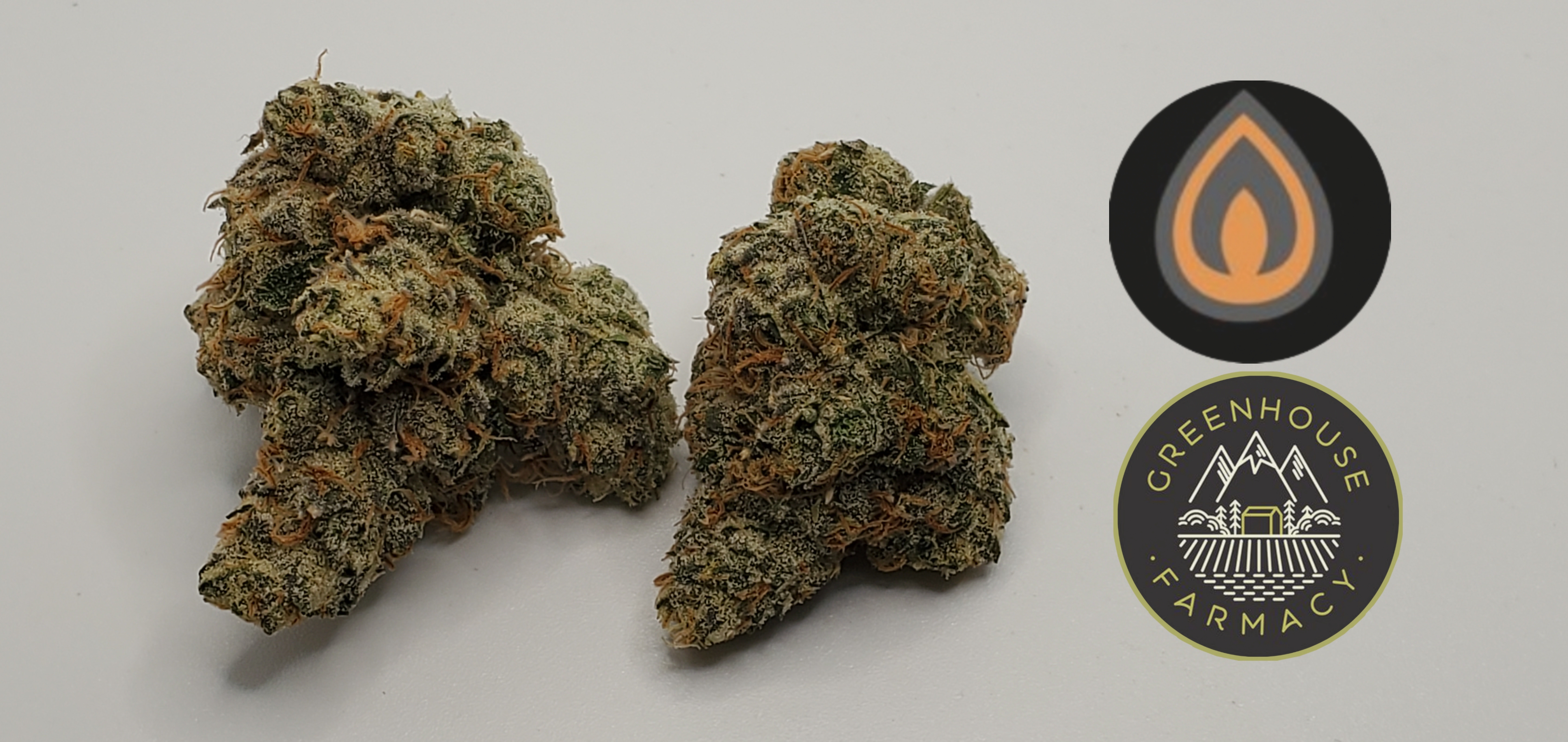 Lemon Cherry Sherbert Flower