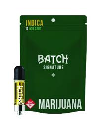 BATCH CARTRIDGE SKYWALKER 600 (I) 1G