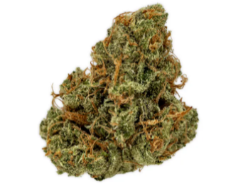 All-Star Haze Buds
