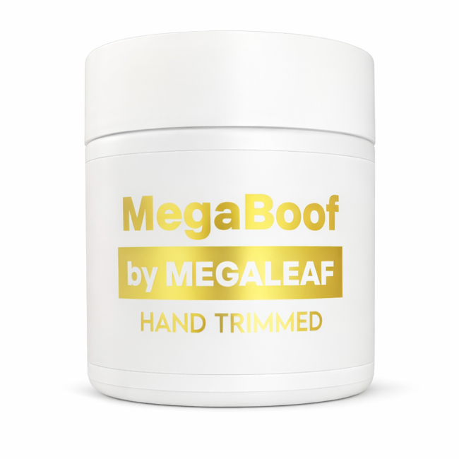 Megaboof | Flower | 3.