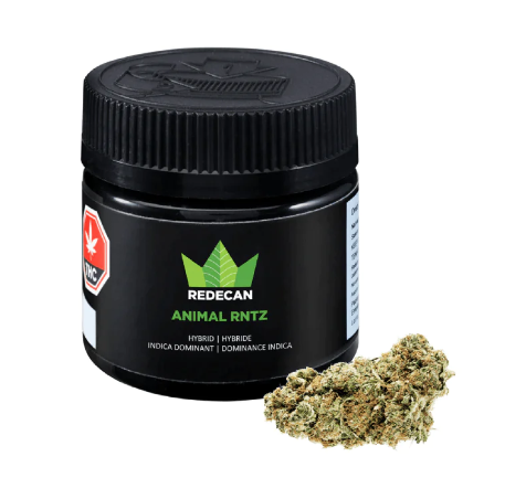 Animal RNTZ | 14G