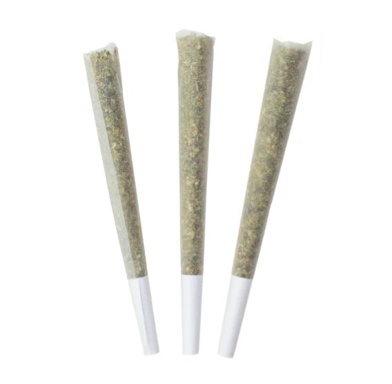 CHOKLIT PARK-BLUEBERRY YUM YUM PR-3X1G