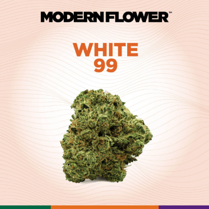 MODERN FLOWER White 99 3.5g