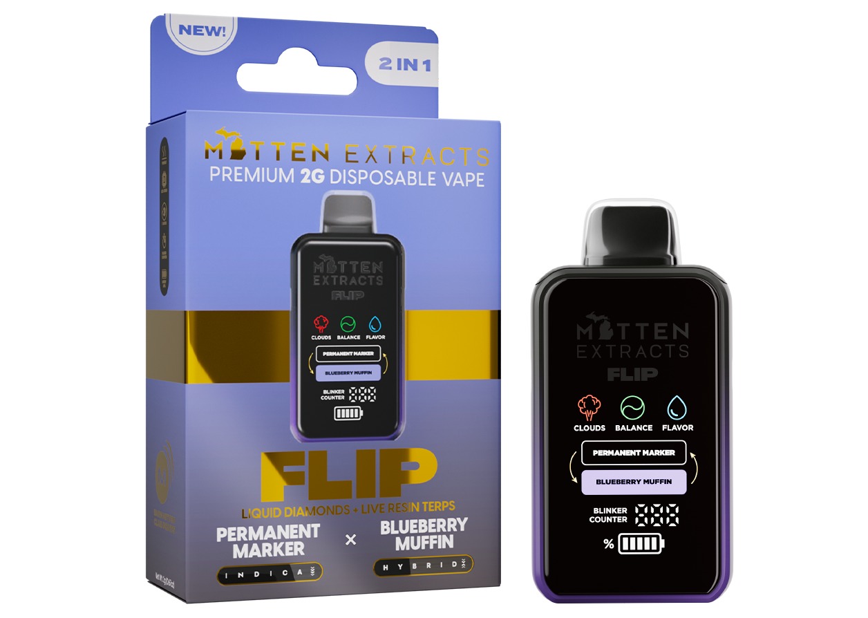 Mitten FLIP - Disposable 2g - Permanent Marker x Blueberry Muffin