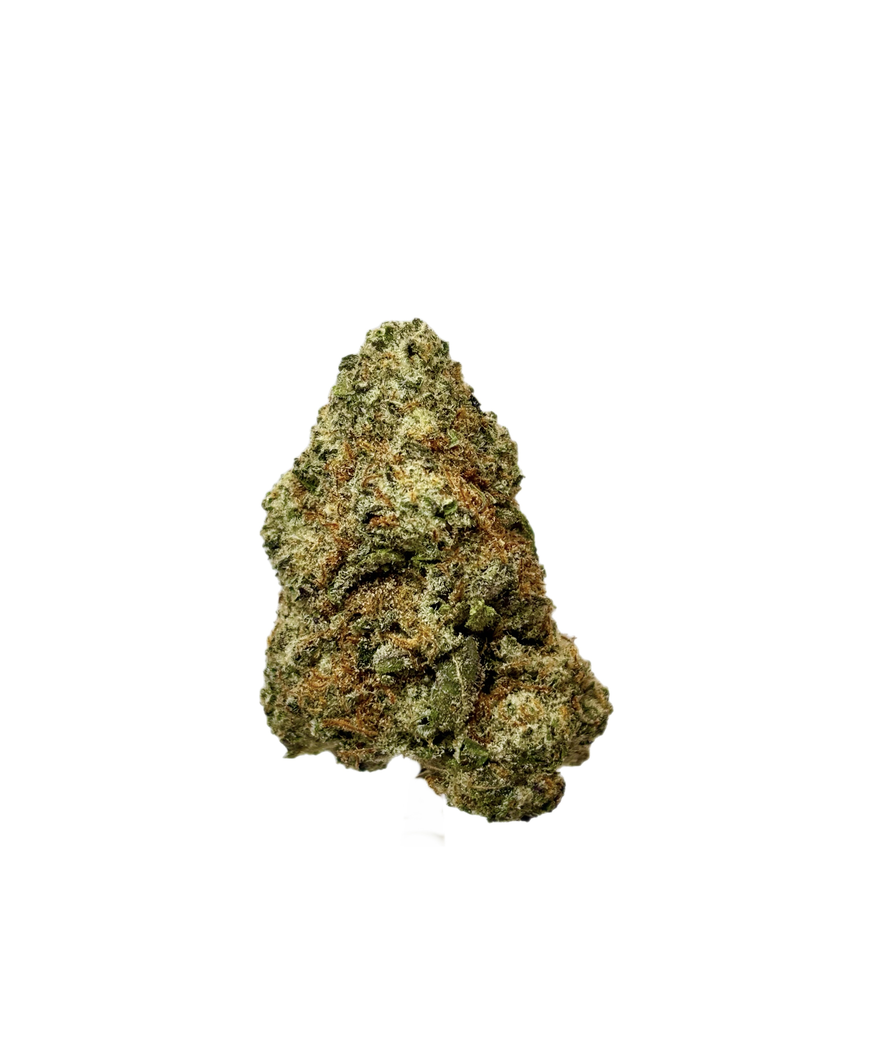 Jealousy Bulk Flower Purple Tier