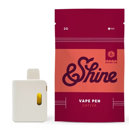 Blue Raspberry |  Disposable