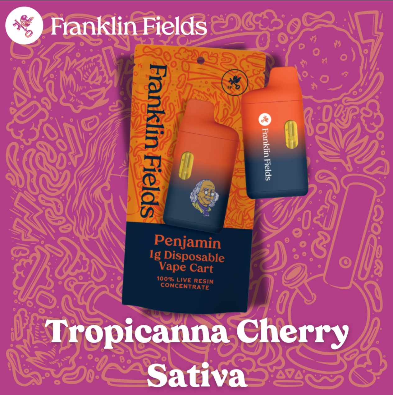 FRANKLIN FIELDS PENJMAIN | LIVE RESIN DISPOSABLE | TROPICANNA CHERRY