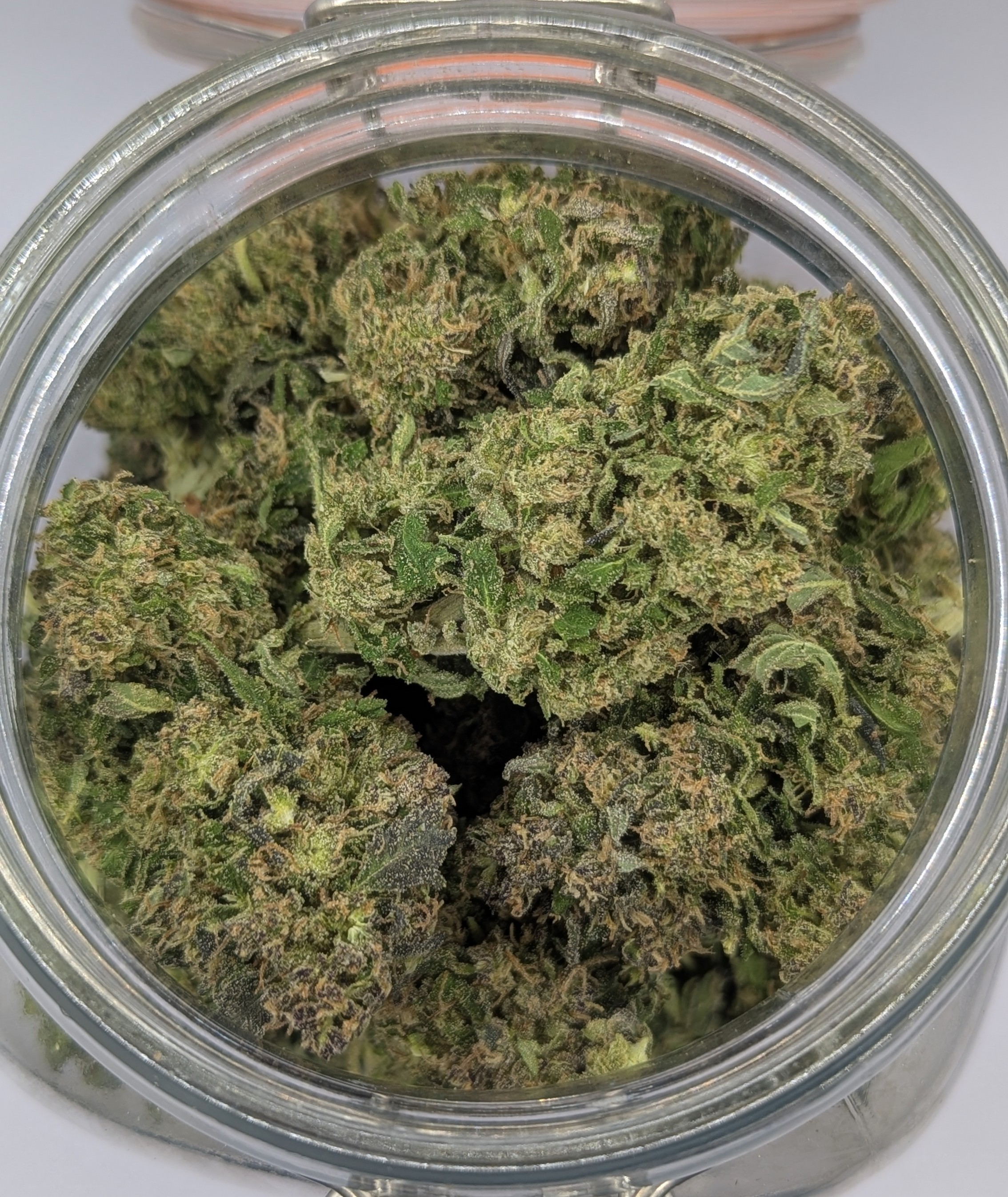 Elvis - Sun Grown Deli Flower