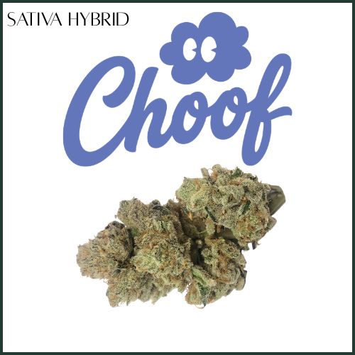 King's Juice | Flower