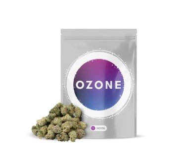 Golden Cream |  Popcorn