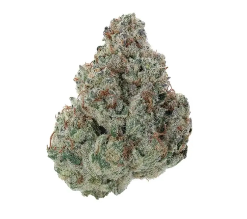 Flower Case | Pre-Packed