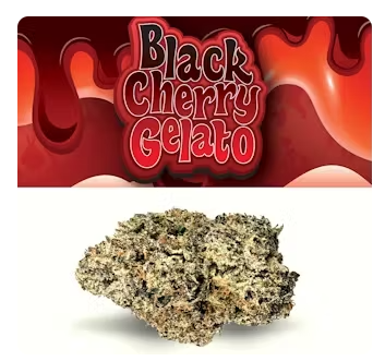 Flower | Cookies | Black Cherry Gelato | 3.5g Whole Bud