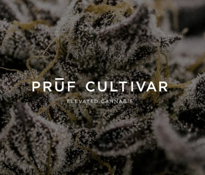 PRŪF: Huckleberry Cough