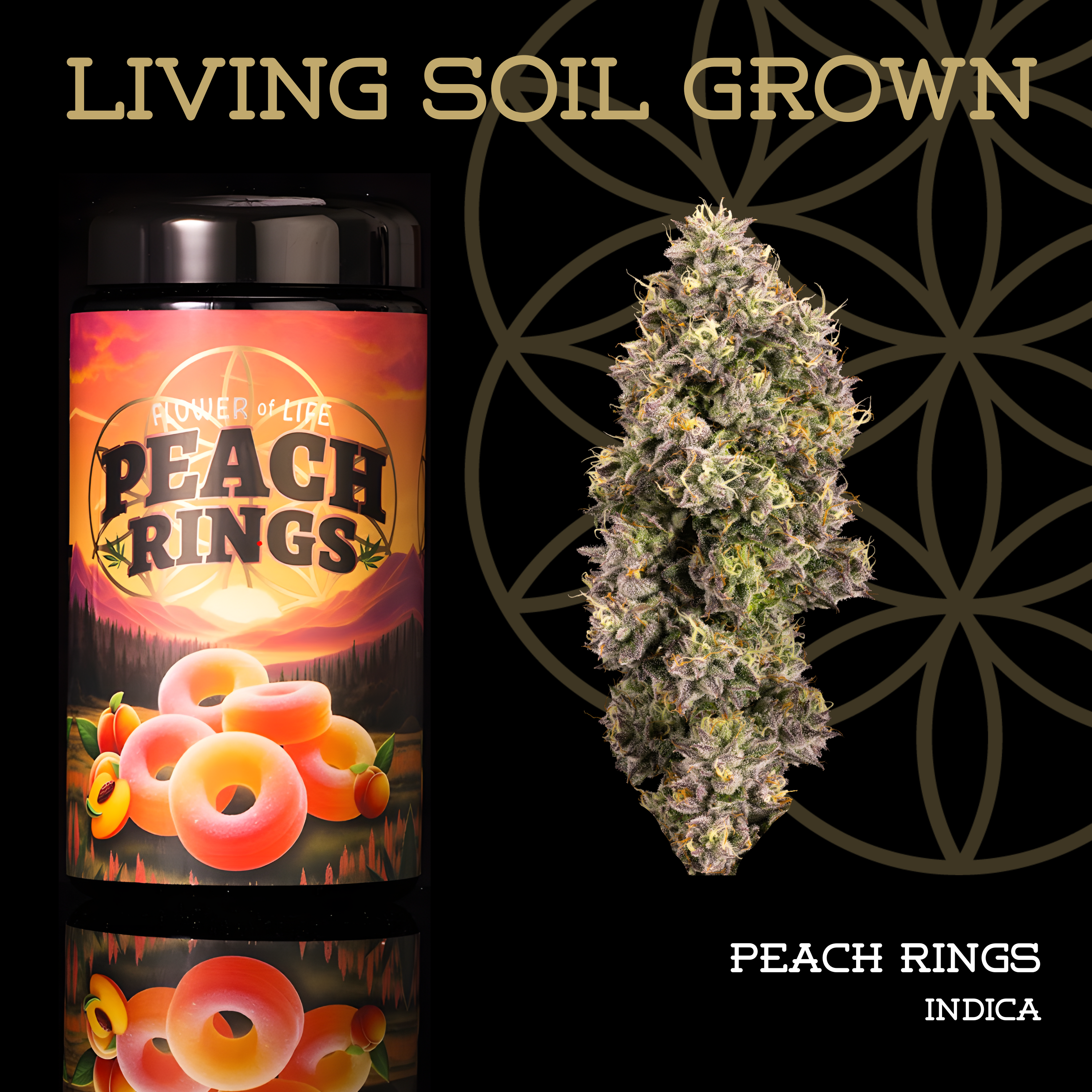 Flower of Life Peach Rings 3.5g