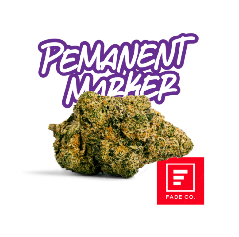 FADE CO. Permanent Marker 20g
