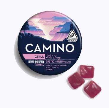 Wild Berry Gummies | 20pk | 100mg