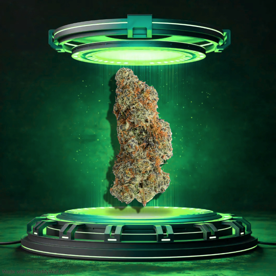 Garlic Snake - Flower