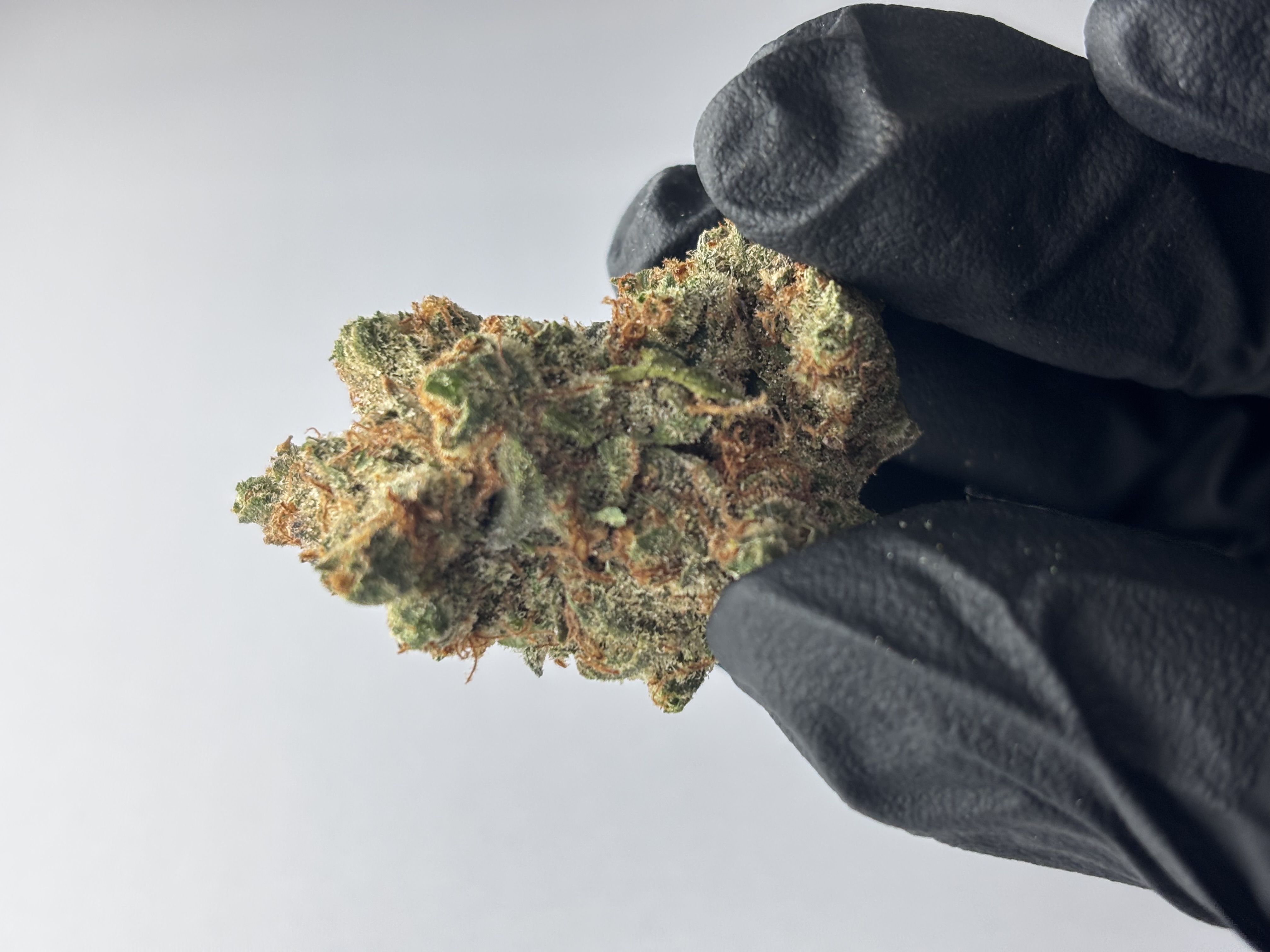 Og Kush