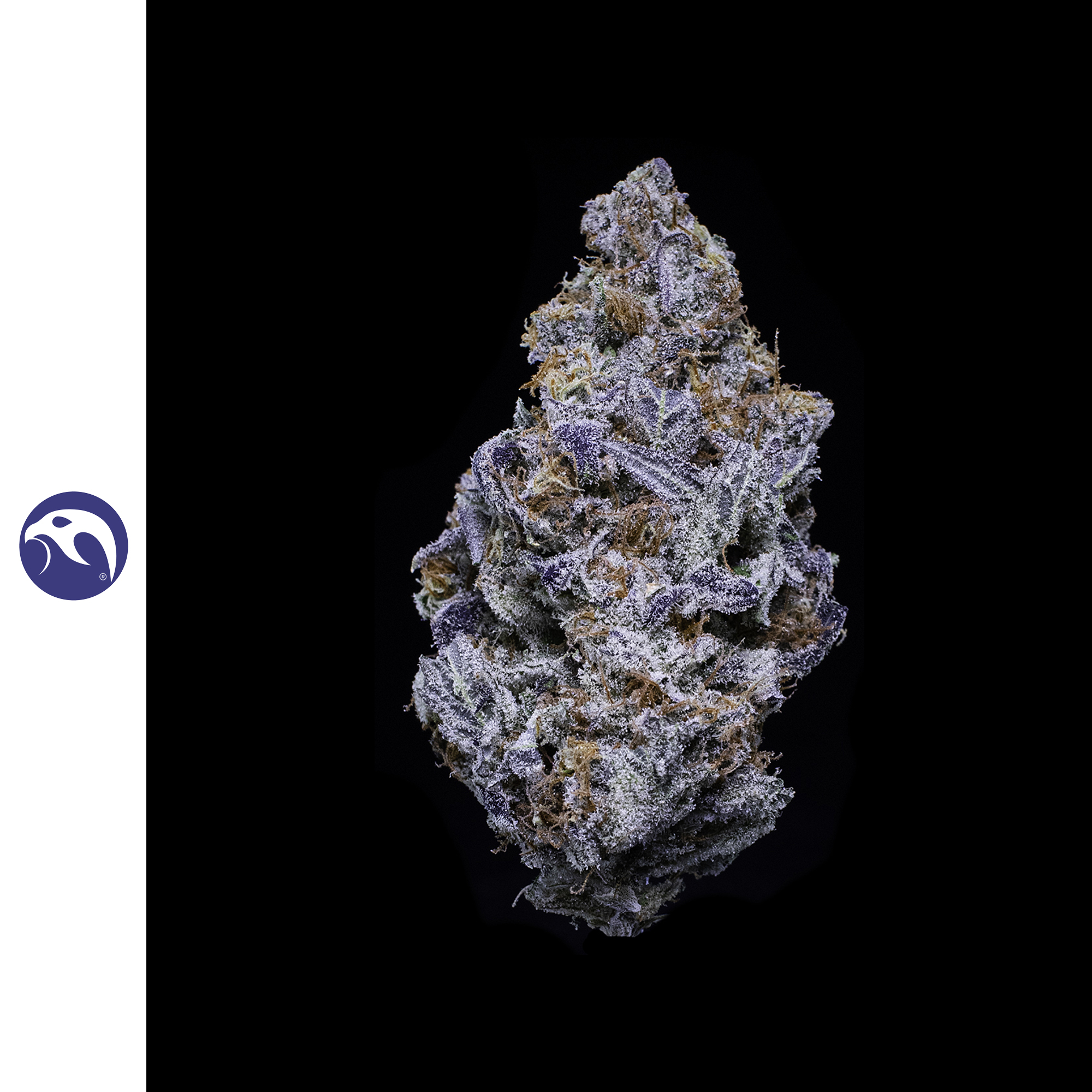 Diesel Thai (DOH)