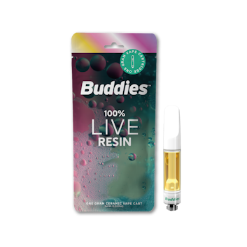 Buddies: Amnesia