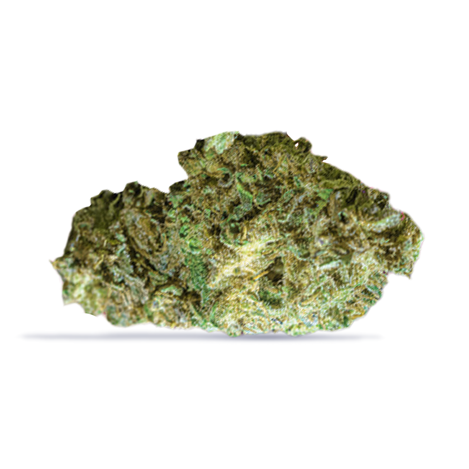 Casey Jones
