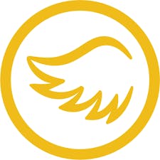 Angel - Tincture - 1:1 CBG:THC - Citrus ZOOM - 1000mg