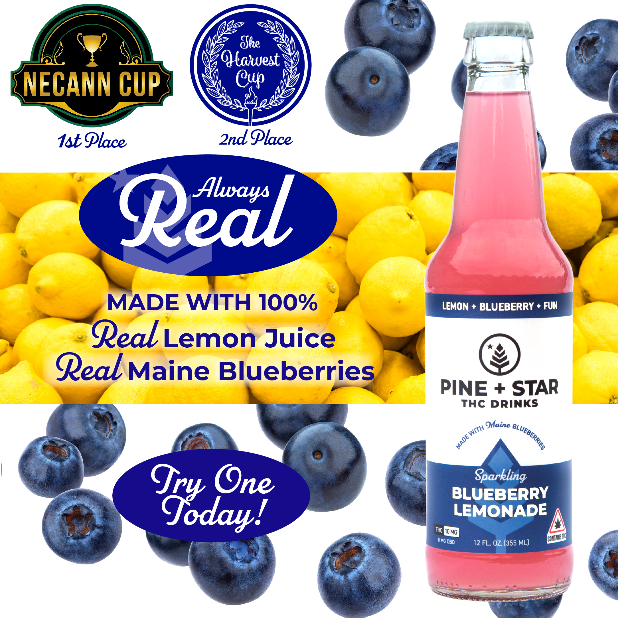 Blueberry Lemonade