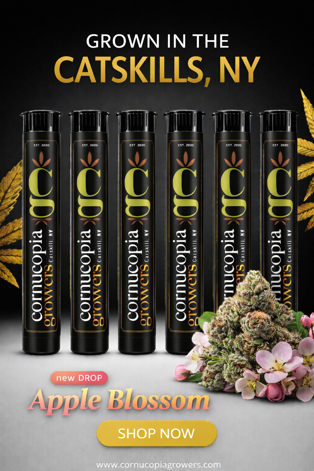 Cornucopia | Apple Blossom Infused Preroll | 1g