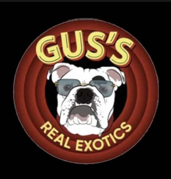 Gus Exotics Fuji Runtz Infused Preroll 3-Pack