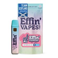 Effin' Vapes - Watermelon Ice - Disposable Vape - 1g