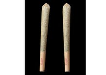 GL Bud Joint | 2 Half Gram | Lemello