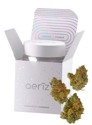 PREPACK - 3.5G - NF1 - HYBRID