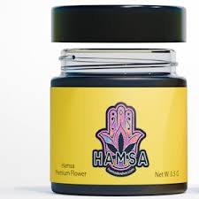 Hamsa