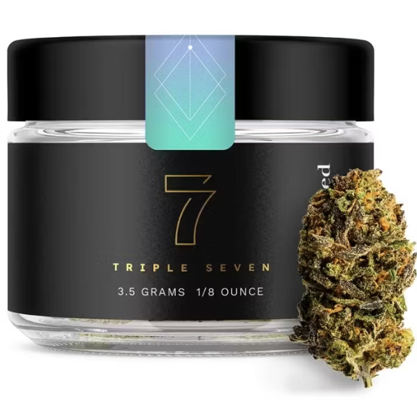 Flower - Tachibana - 777 - REC