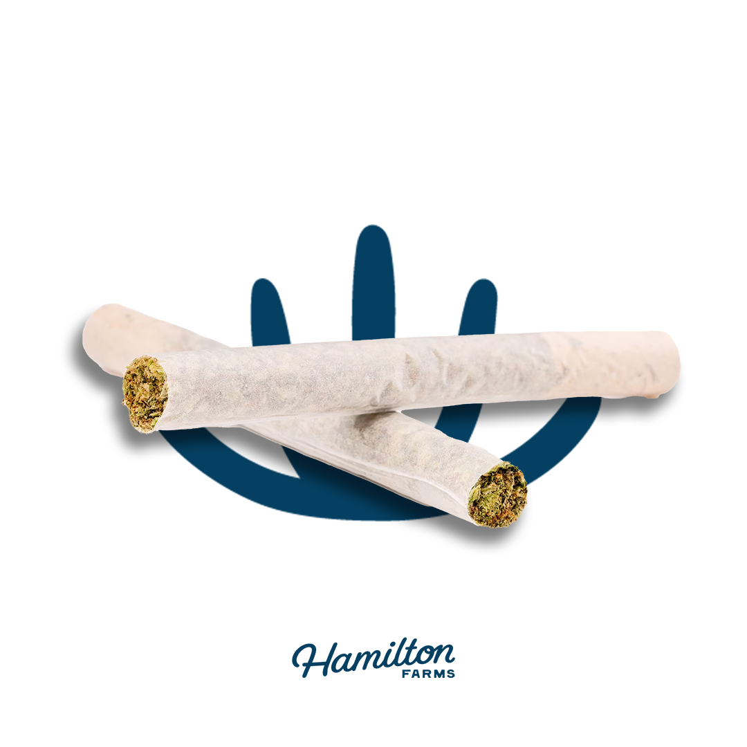 Hamilton Farms | Pre-Roll Pack | Garlic Knots | 5pk/2.5g