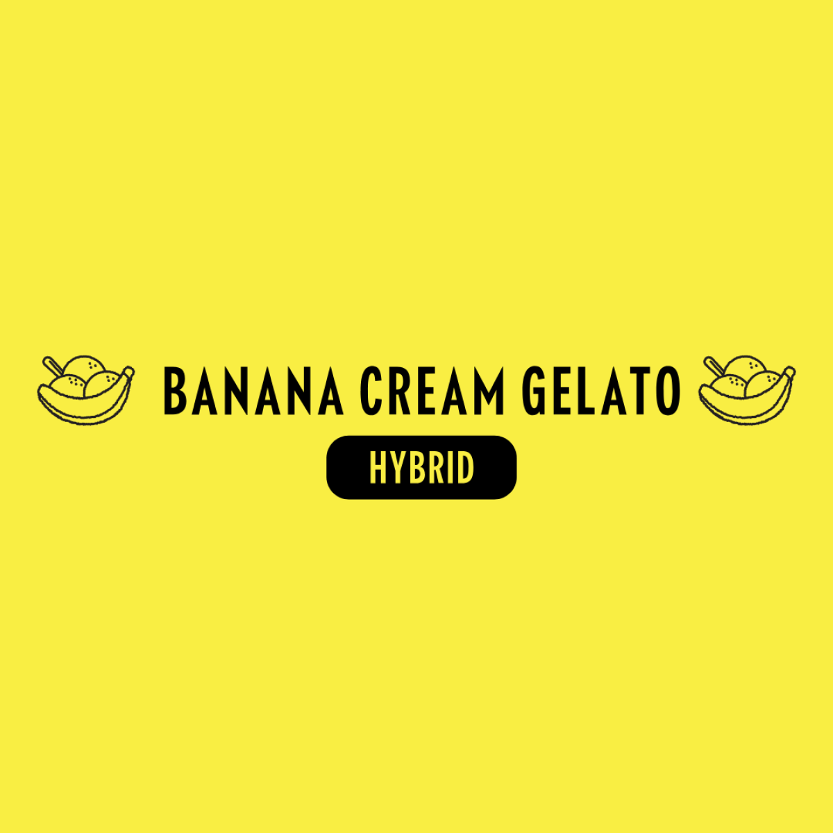 Family Tree Cannabis Co. | Banana Cream Gelato | Infused Preroll 1g
