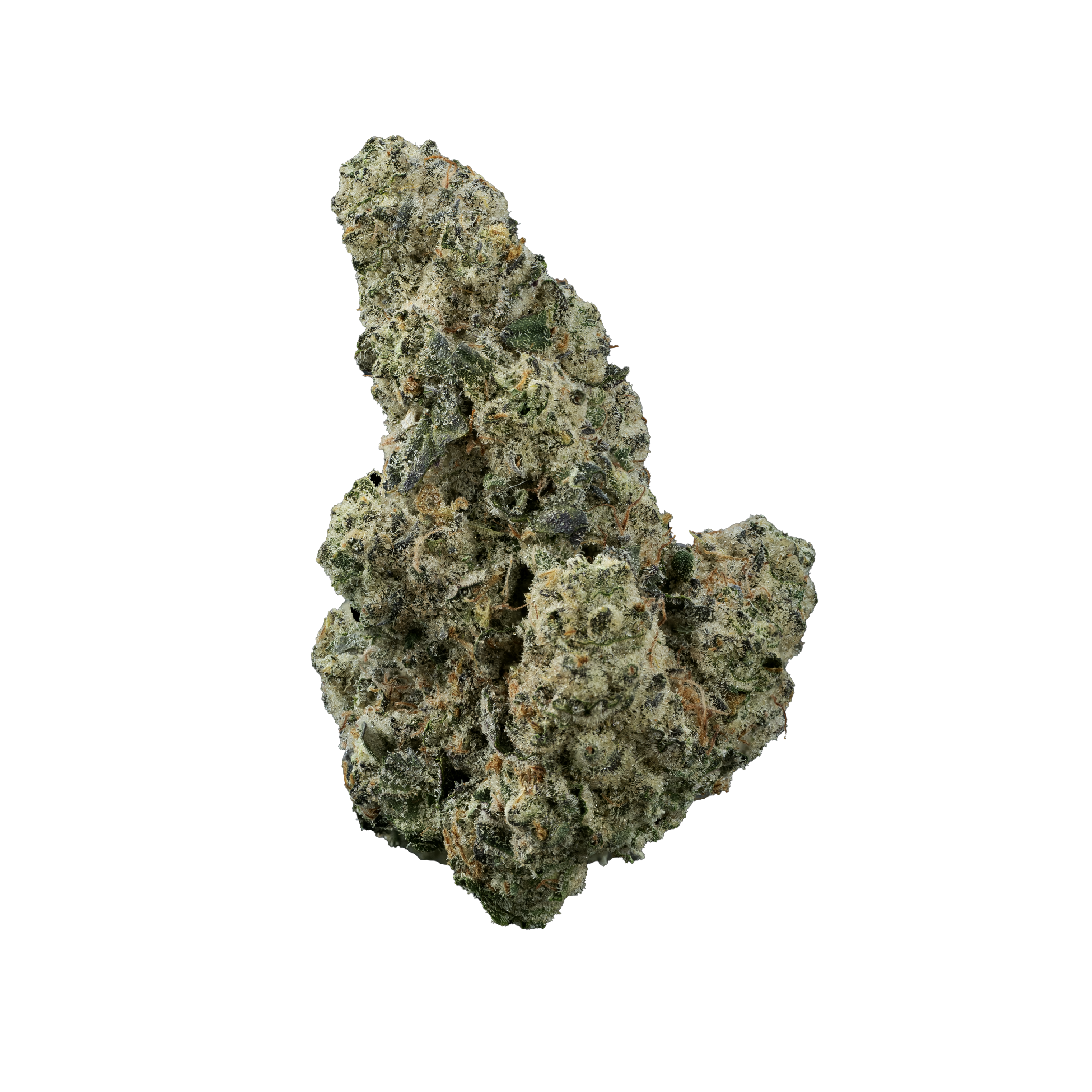 Omnino - Kush Mints - Bulk Flower