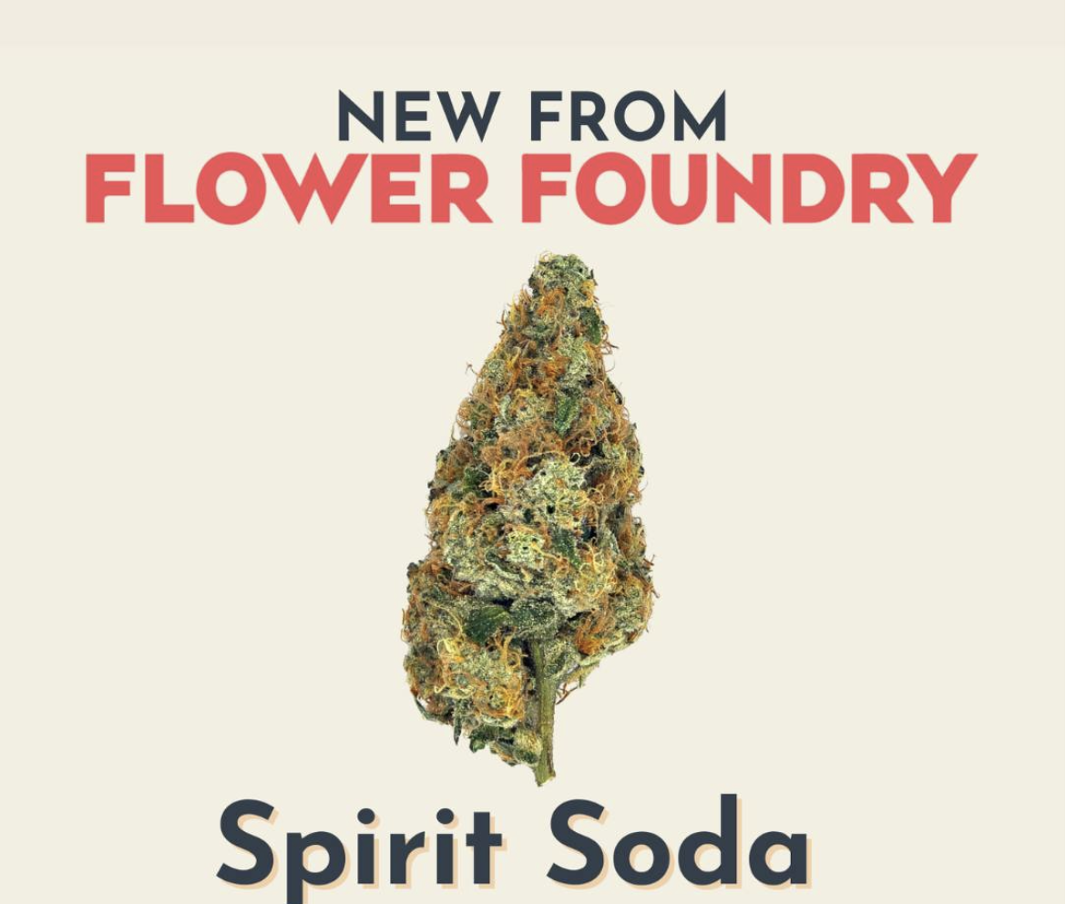 Spirit Soda | 1g