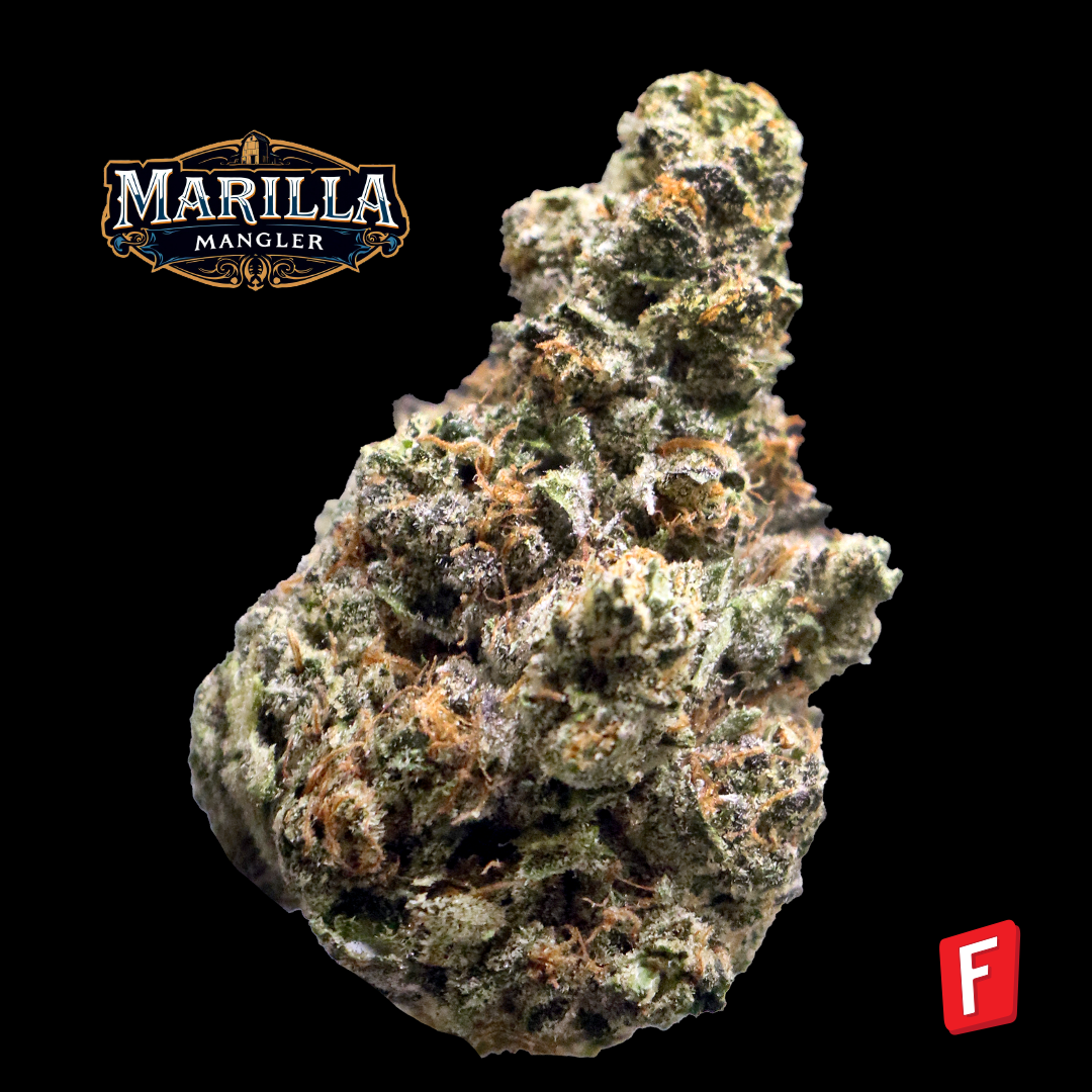 Marilla Mangler Flower