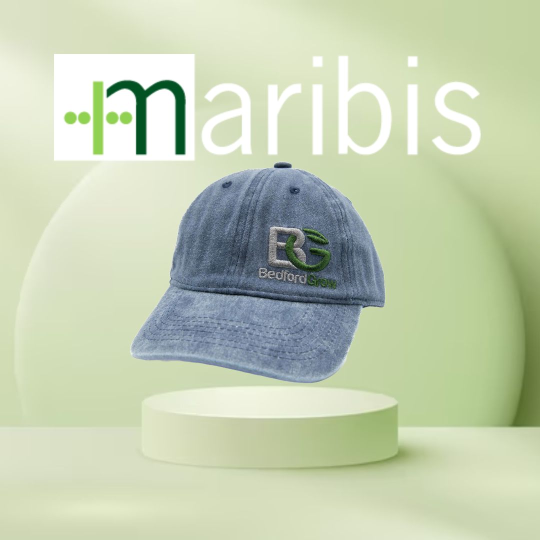 Accessories Dad Hat Navy