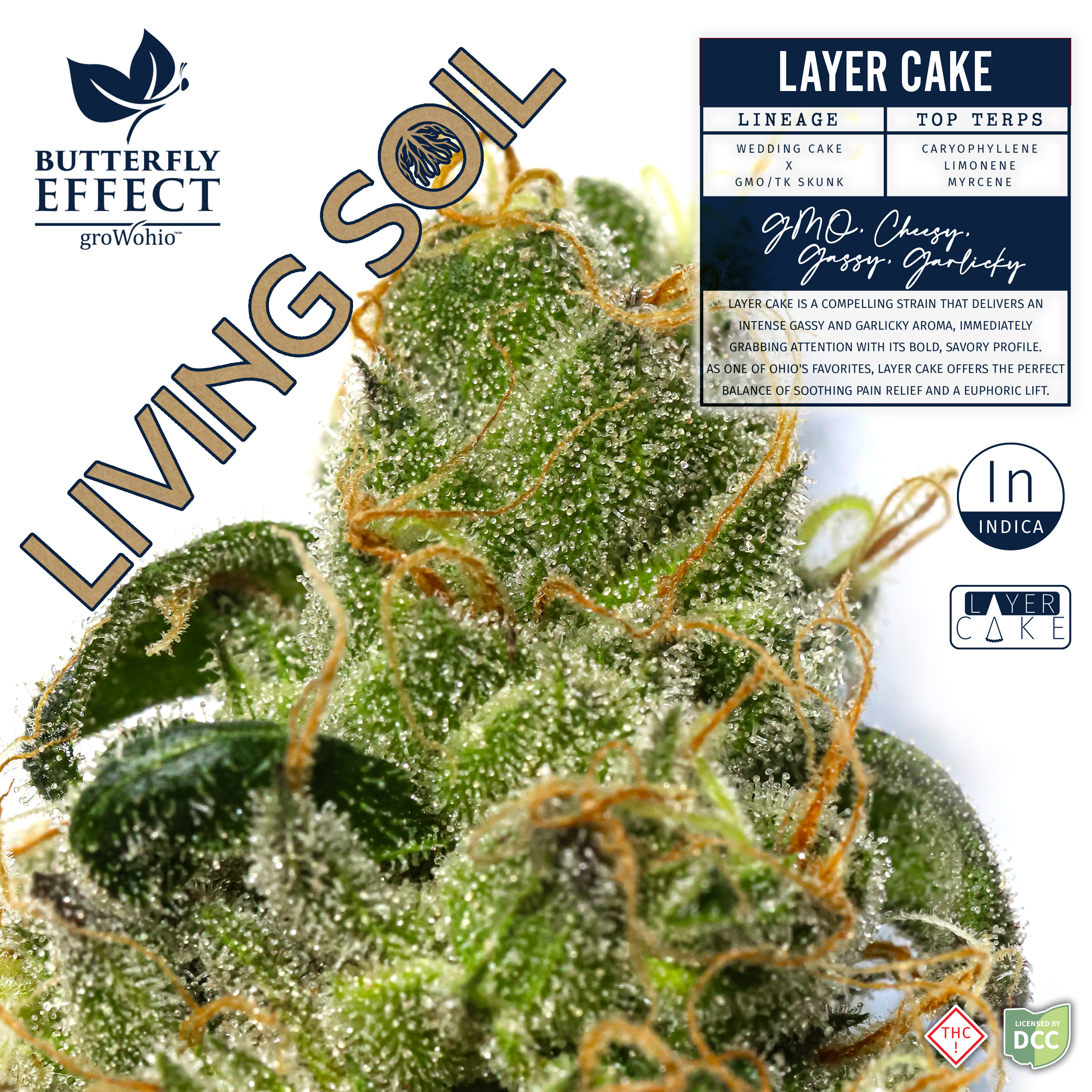Layer Cake [2.83g] - Living Soil