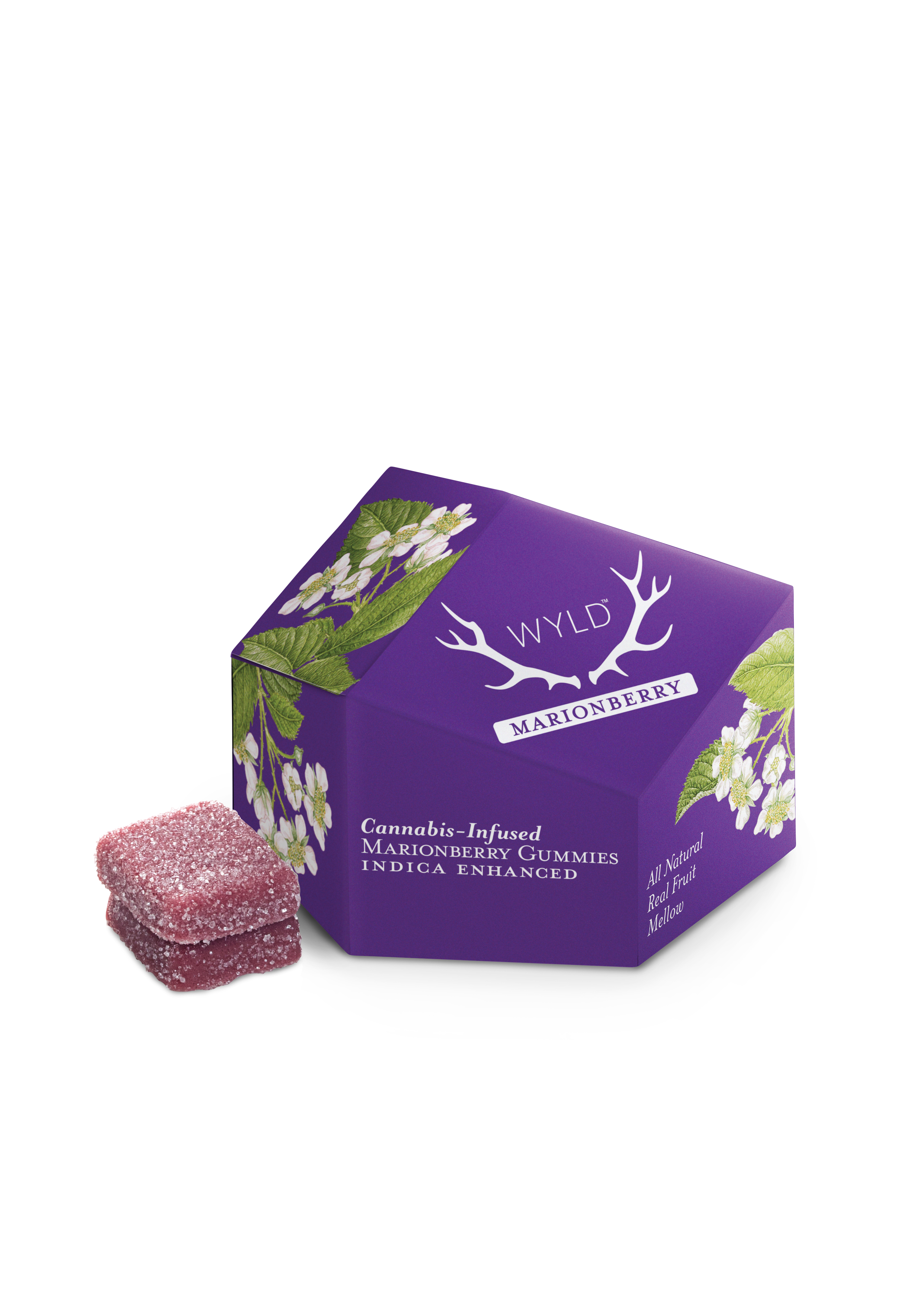 Marionberry